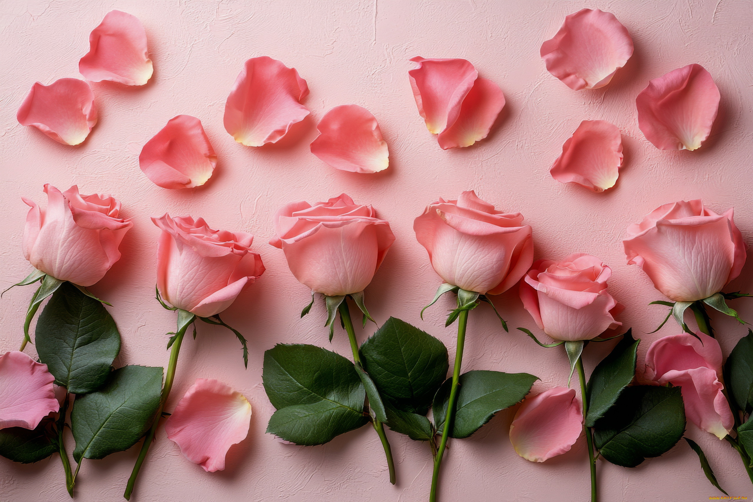 3 ,  , flowers, 